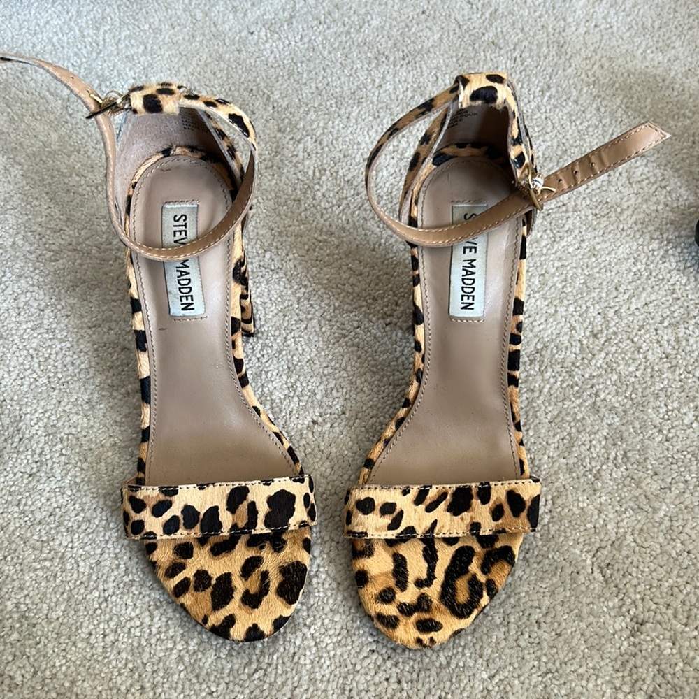 Steve Maddens heels